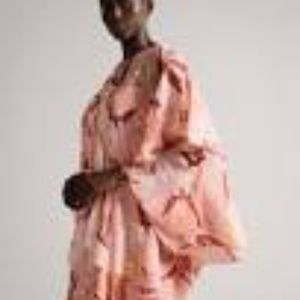 New Ted Baker Persia mini dress